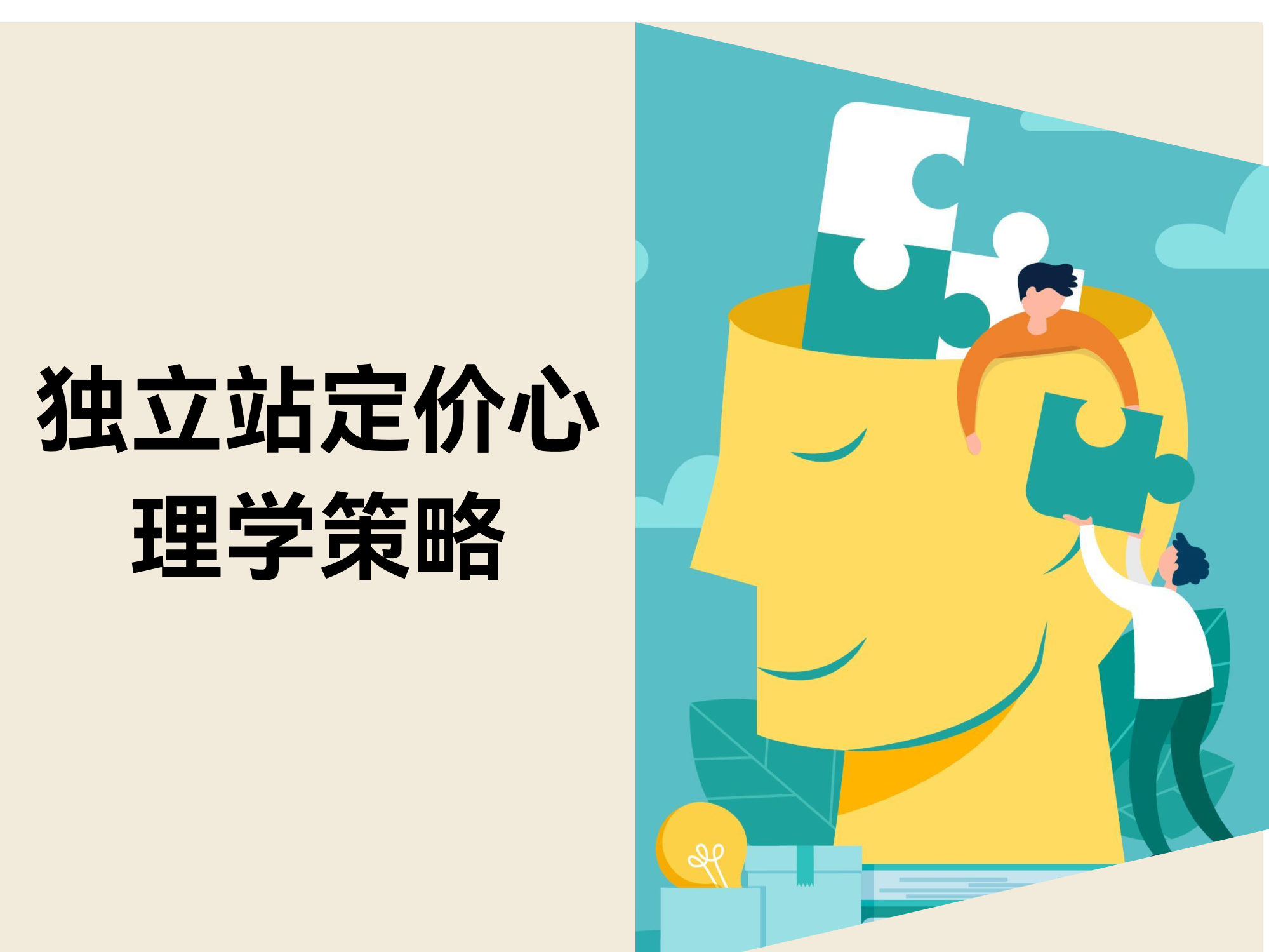 独立站定价策略:8招巧用心理战,让顾客主动多花钱 独立站定价策略:8招巧用心理战,让顾客主动多花钱