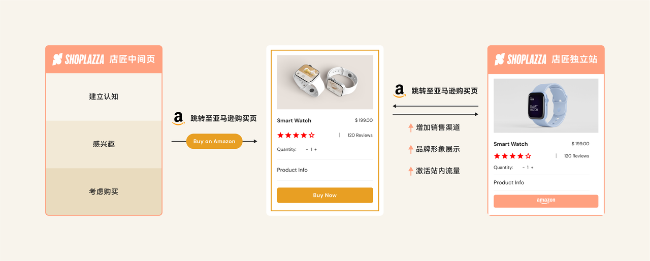 独立站与亚马逊等平台双轨运营模式 独立站与亚马逊等平台双轨运营模式